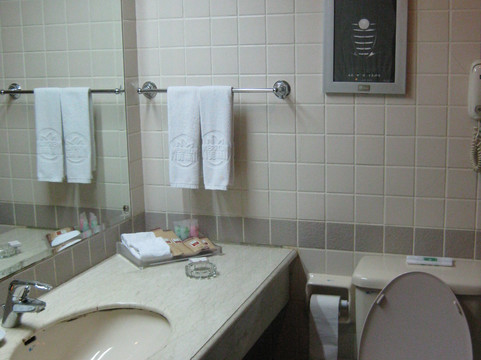 上海全季陆家嘴八佰伴店主图