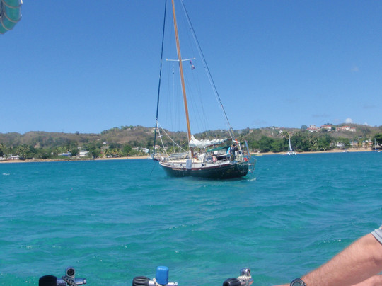 Taino Divers-吕康必去景点