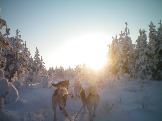 Salla Ski & Active-Salla必去景点