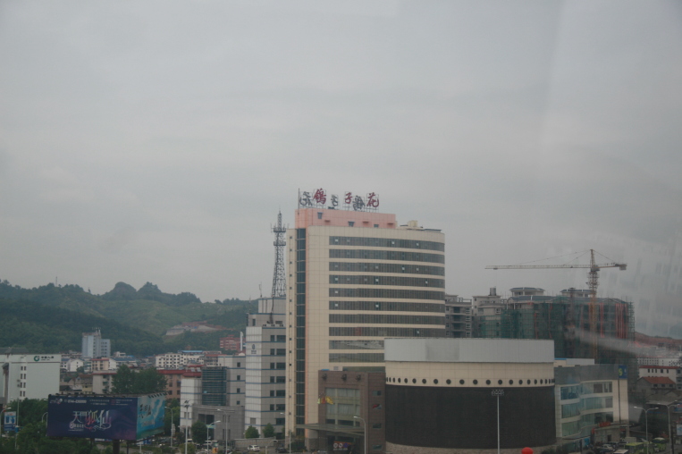 鸽子花国际酒店-客卧