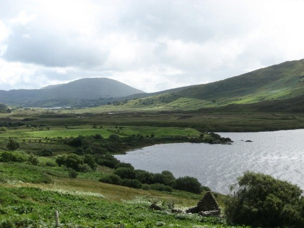 Connemara National Park & Visitor Centre景点图片