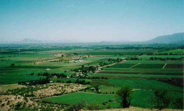 Cachapoal Wine Route景点图片
