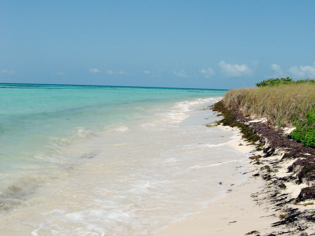 深湾州立公园&海滩-Big Pine Key必去景点
