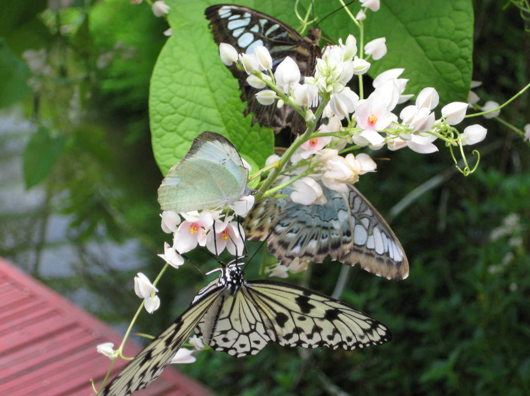 蟲鳴大地-巴巷海滩必去景点