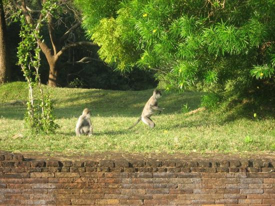 Sigiriya The Ancient Rock Fortress景点图片