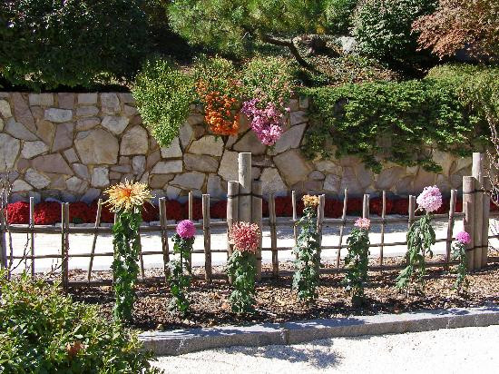 密苏里植物园-圣路易斯必去景点