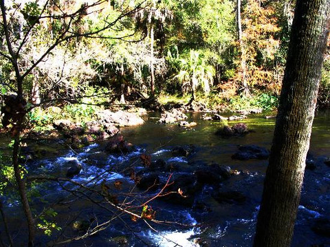 Hillsborough River State Park-Thonotosassa必去景点