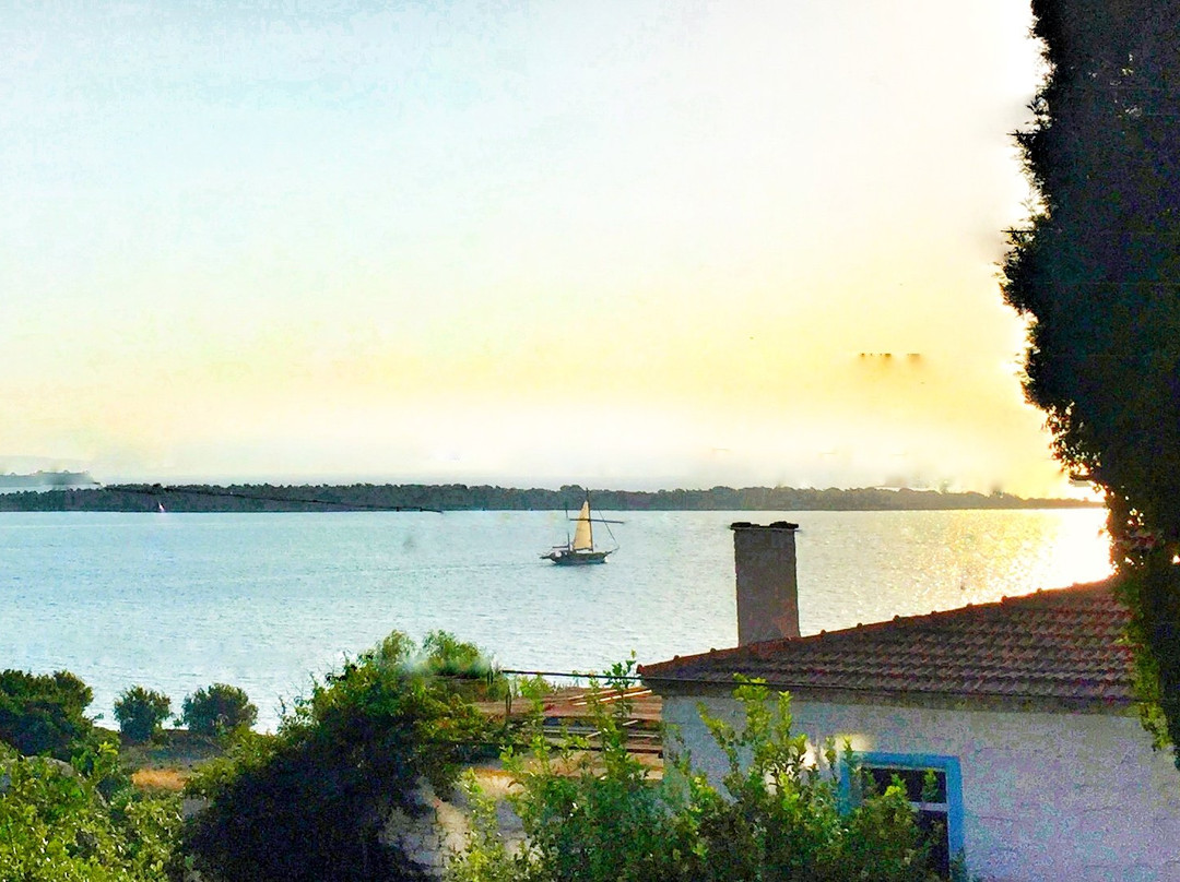 Ildir餐馆和美食-Herakles Balik