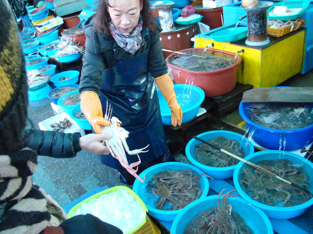 Mukho Port-东海市必去景点