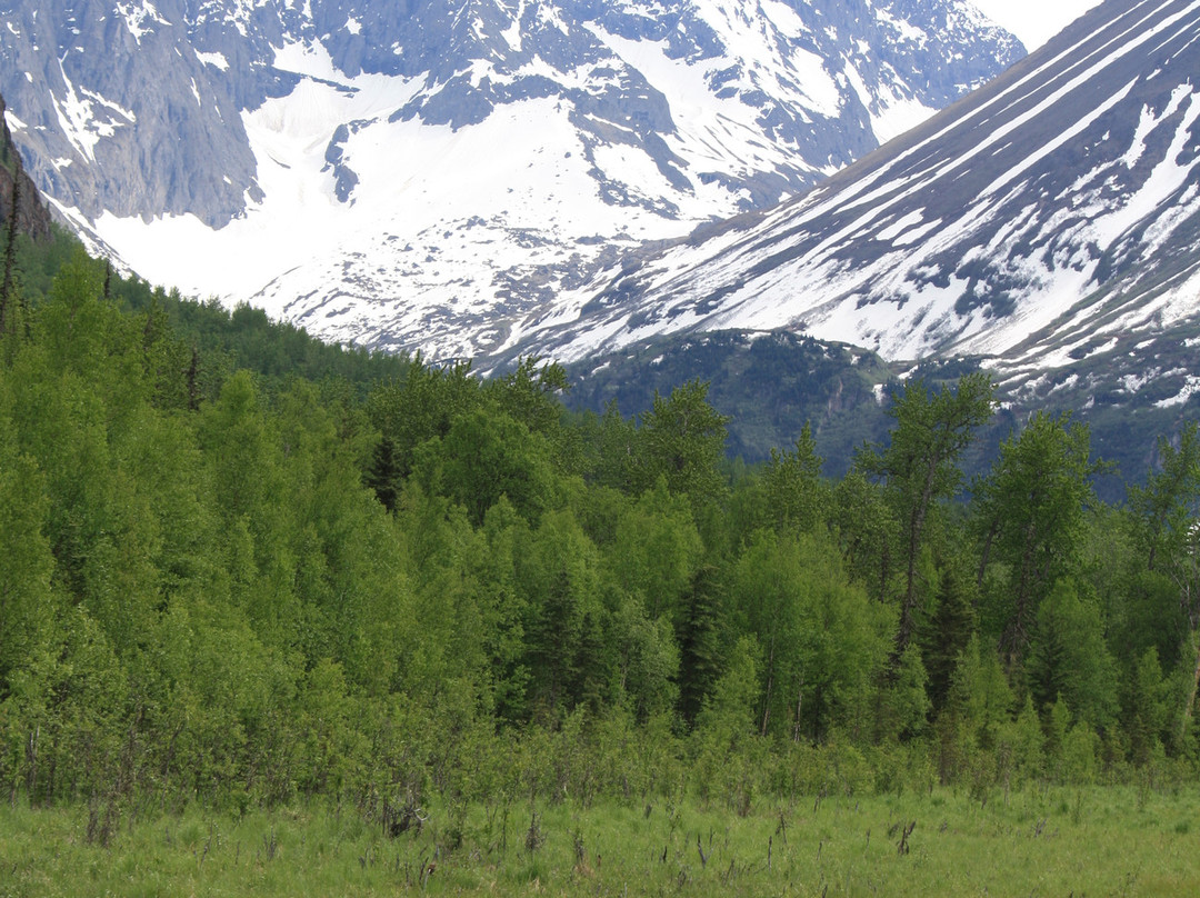 Eagle River Nature Center-伊格尔里弗必去景点