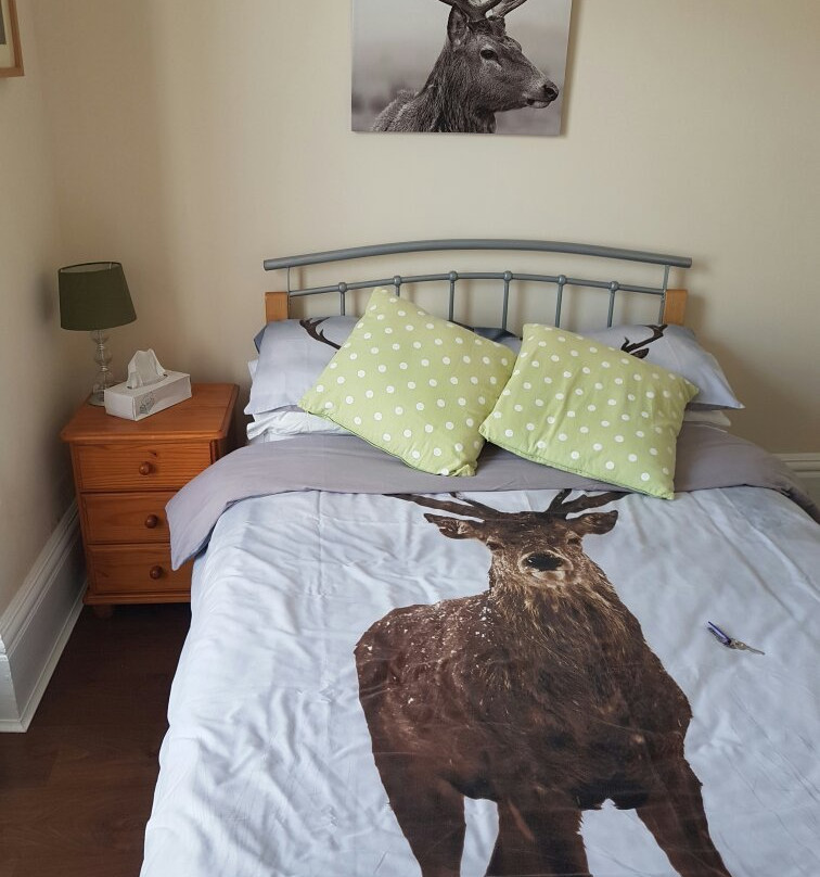 Driftwood Guesthouse