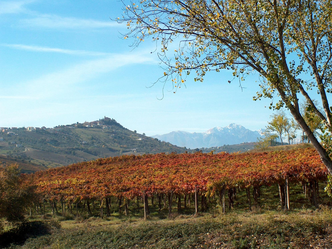 Azienda Agrituristica Terre Del Sole