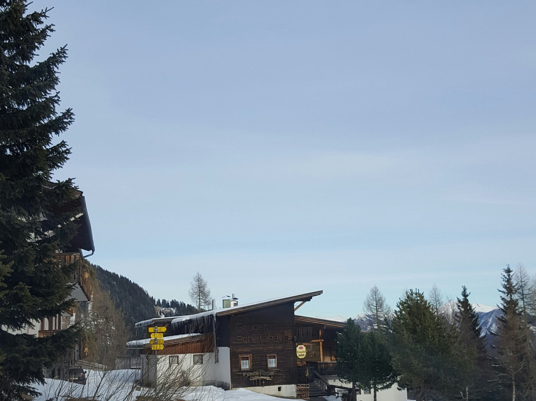 Greifenburg酒店住宿-Alpengasthof Gaugen