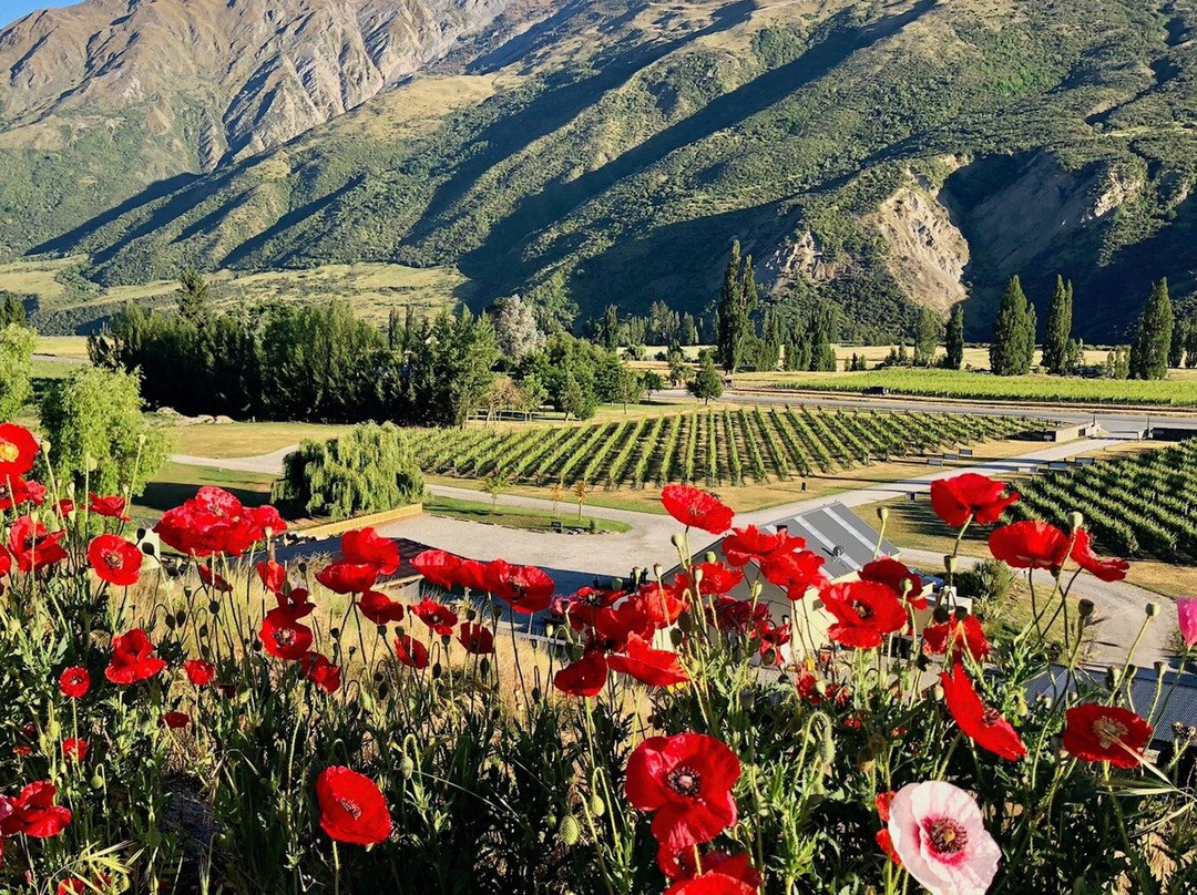 Kinross Winery-Gibbston必去景点