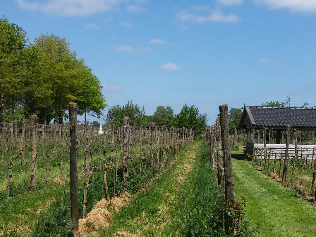 Wijngoed Montferland景点图片