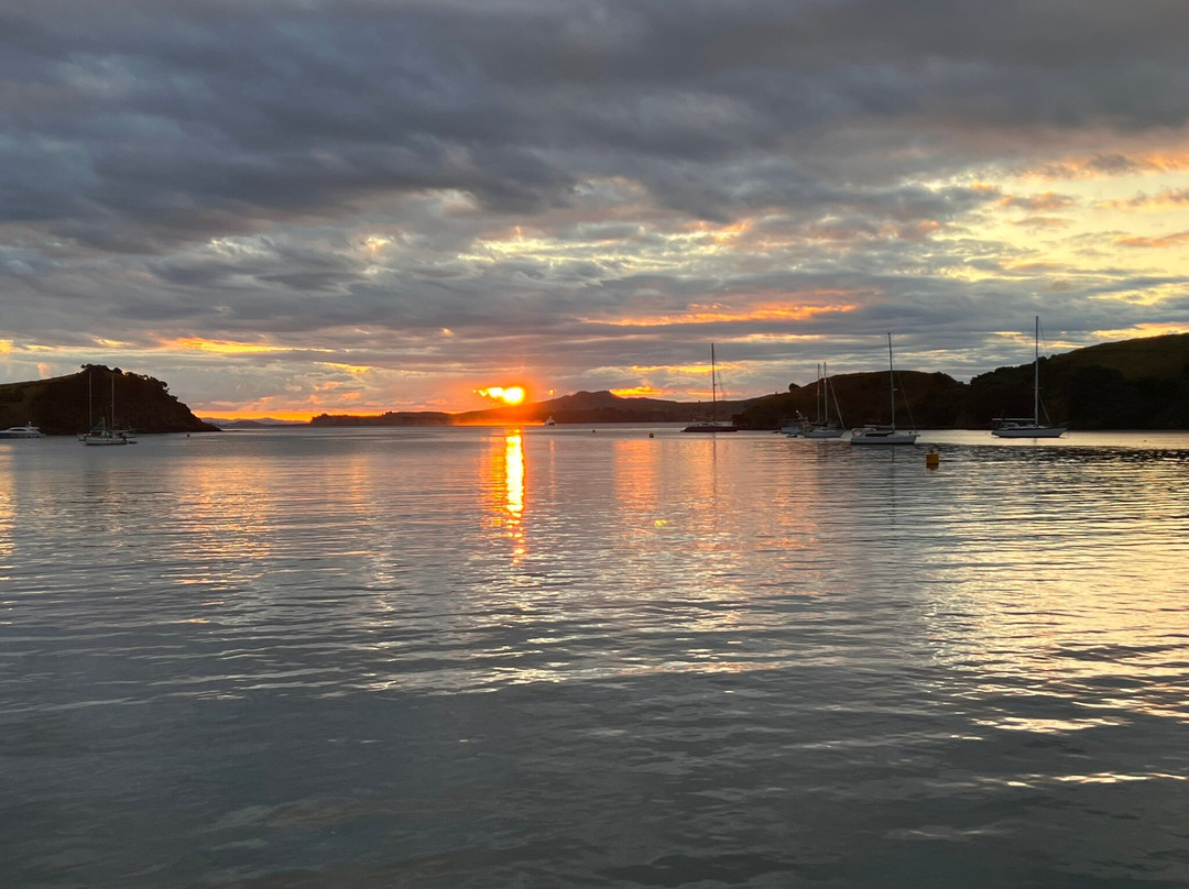 Waiheke Wine Tours Ltd景点图片