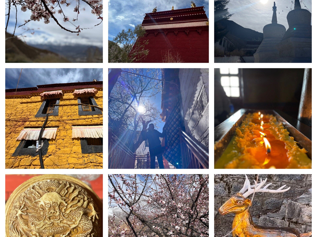 帕邦喀寺-拉萨市必去景点