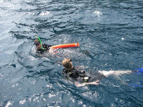 Flip Flop Divers-兰塔岛必去景点