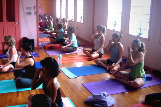 Bocas Yoga景点图片