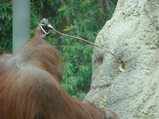 圣迭戈海湾散步道-圣地亚哥必去景点