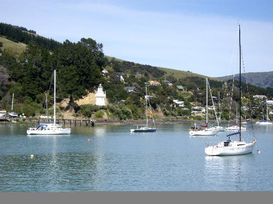 Black Cat Cruises-阿卡罗阿必去景点