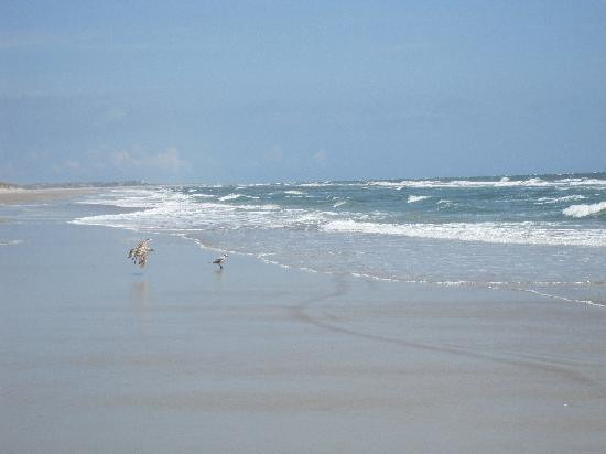 Hammocks Beach State Park景点图片