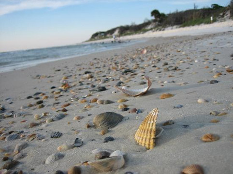 T.H. Stone Memorial St. Joseph Peninsula State Park-Port Saint Joe必去景点