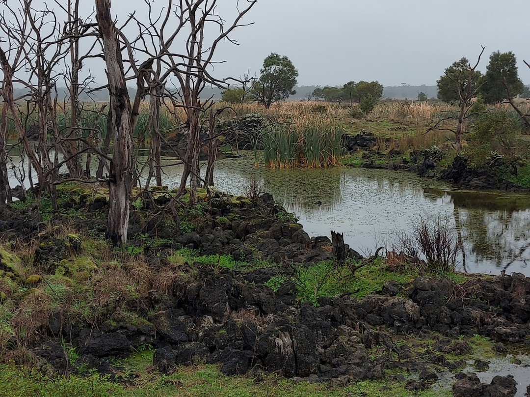 Budj Bim Cultural Landscape Tourism景点图片