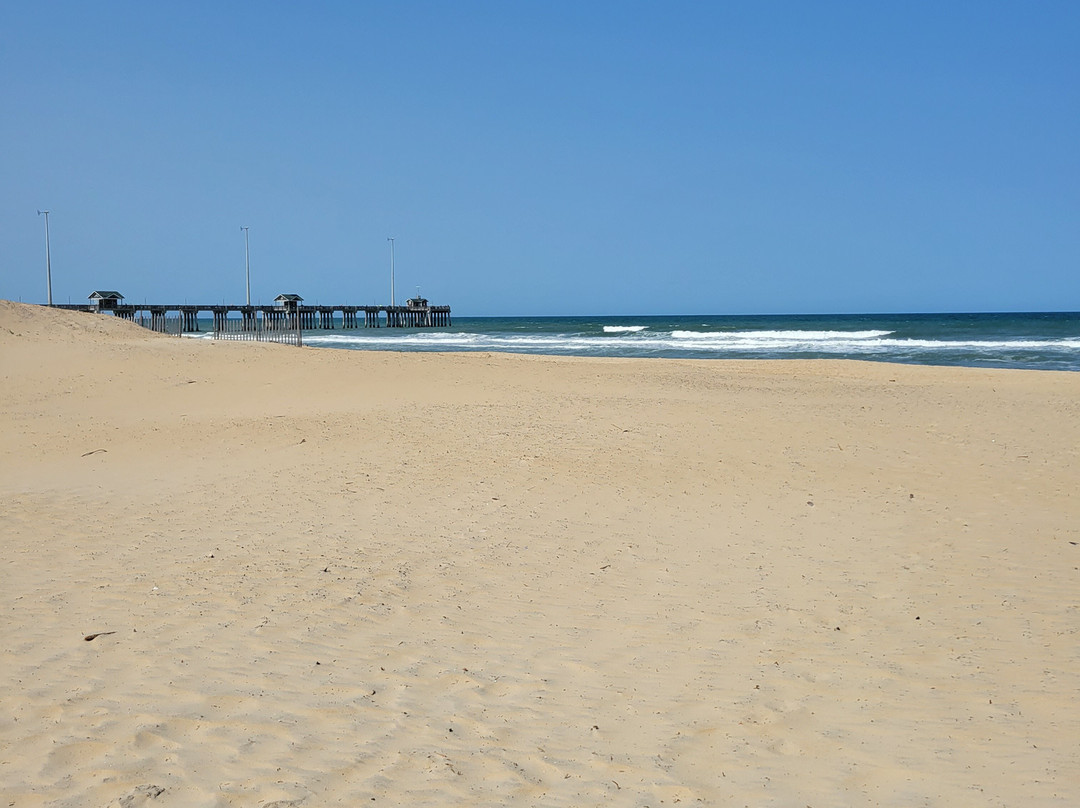 Dolphin Oceanfront Motel主图