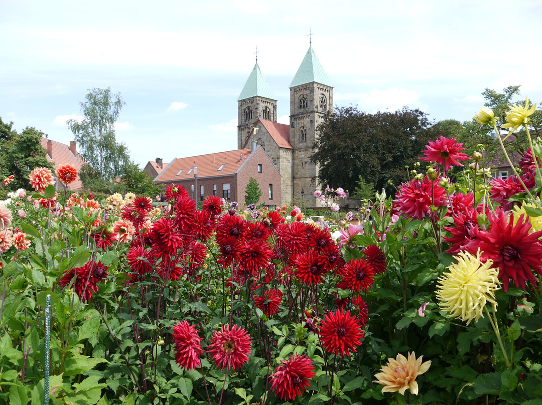 Dahliengarten Legden景点图片
