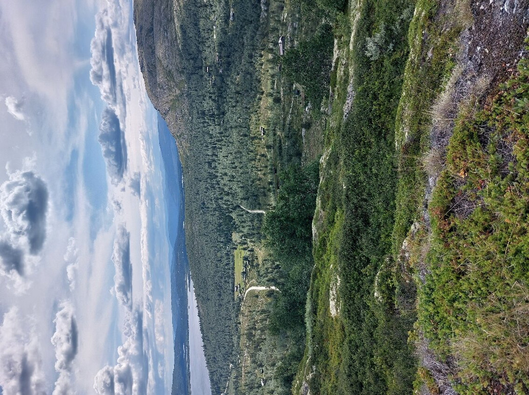 Rondane National Park-Eastern Norway必去景点