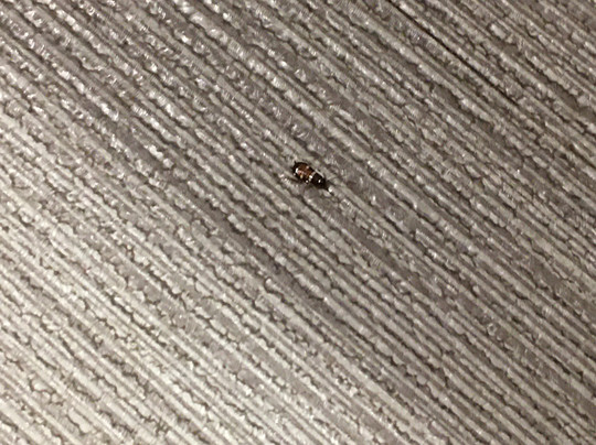 avid Hotels Prattville - Montgomery North by IHG主图