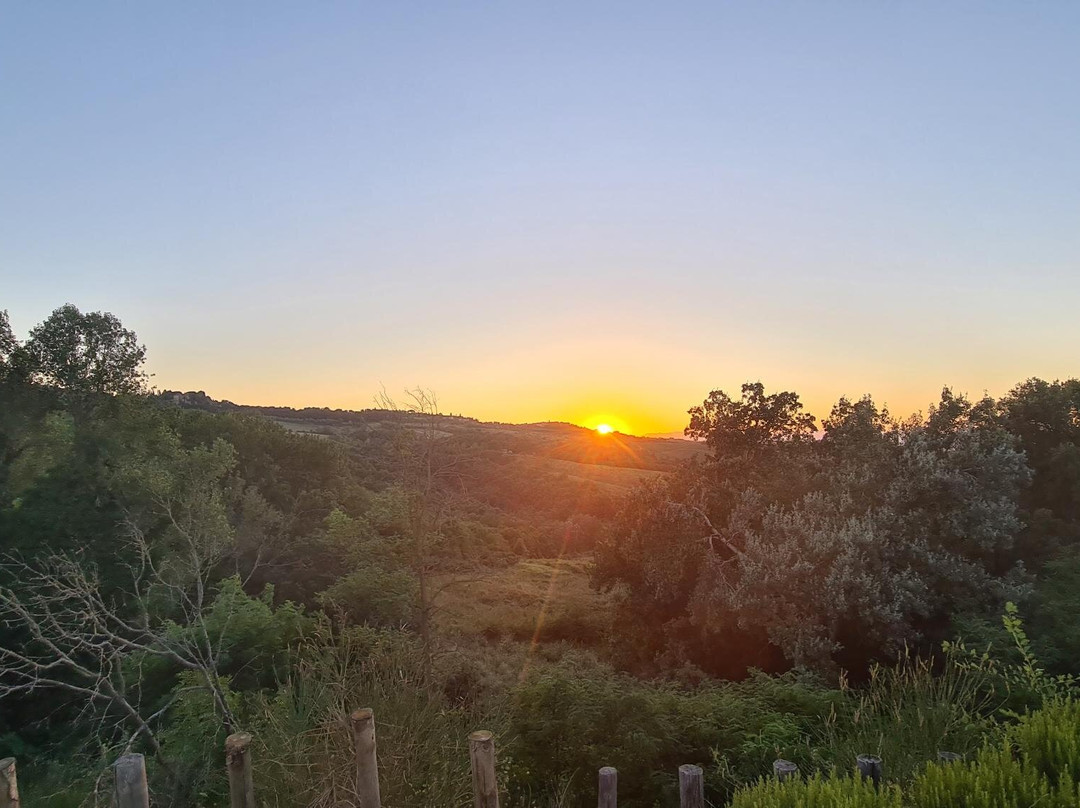 Tenuta Sant'Ilario主图