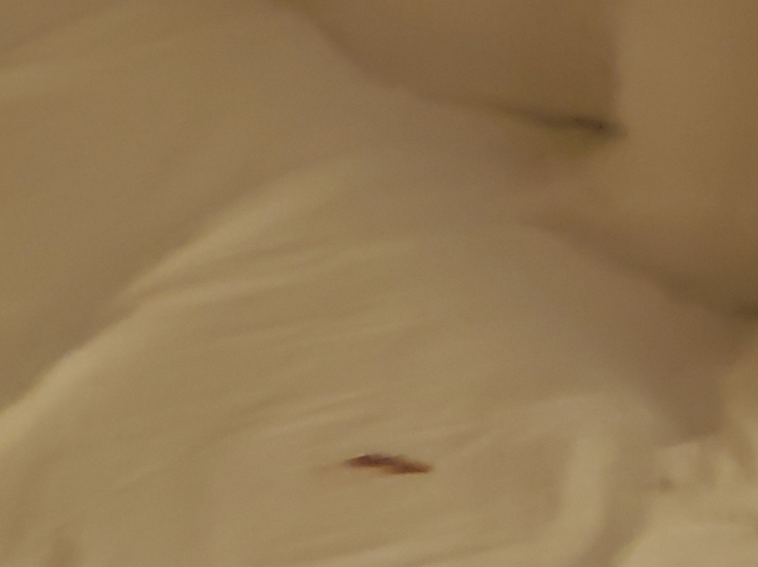 Fort Verde Suites主图