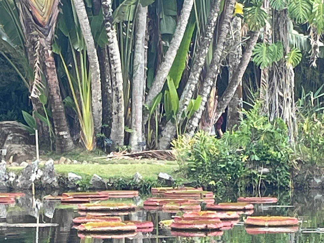 Jardim Botânico da Universidade Federal Rural do Rio de Janeiro景点图片