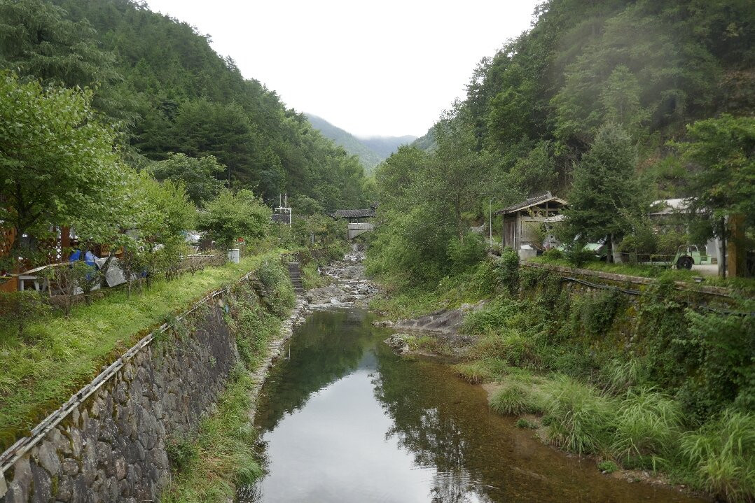 丽水庆元百山祖-庆元县必去景点