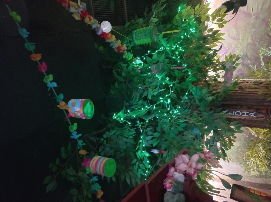 Hawaika景点图片