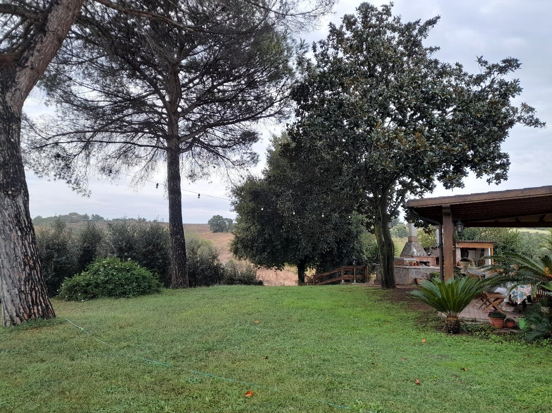 B&B La Finestra sul Cortile主图