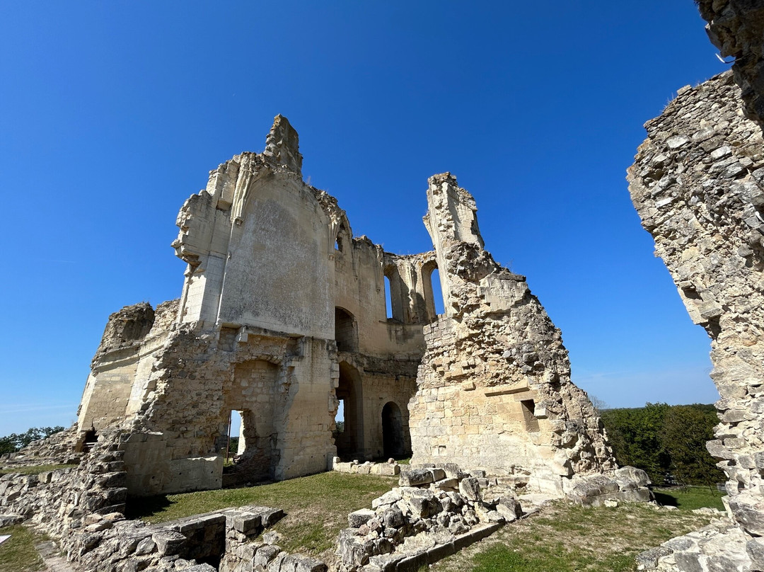 Château de Fère-en-Tardenois-Fere-en-Tardenois必去景点