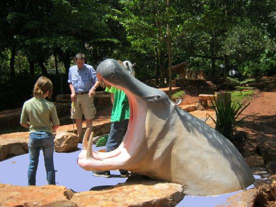 Big Game Mini Golf-金贾必去景点