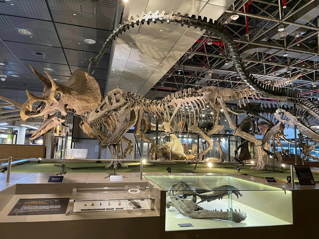 National Science Museum-大田必去景点