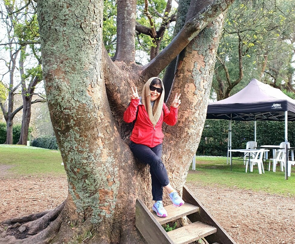 丹顿农山顶餐厅-墨尔本必去景点