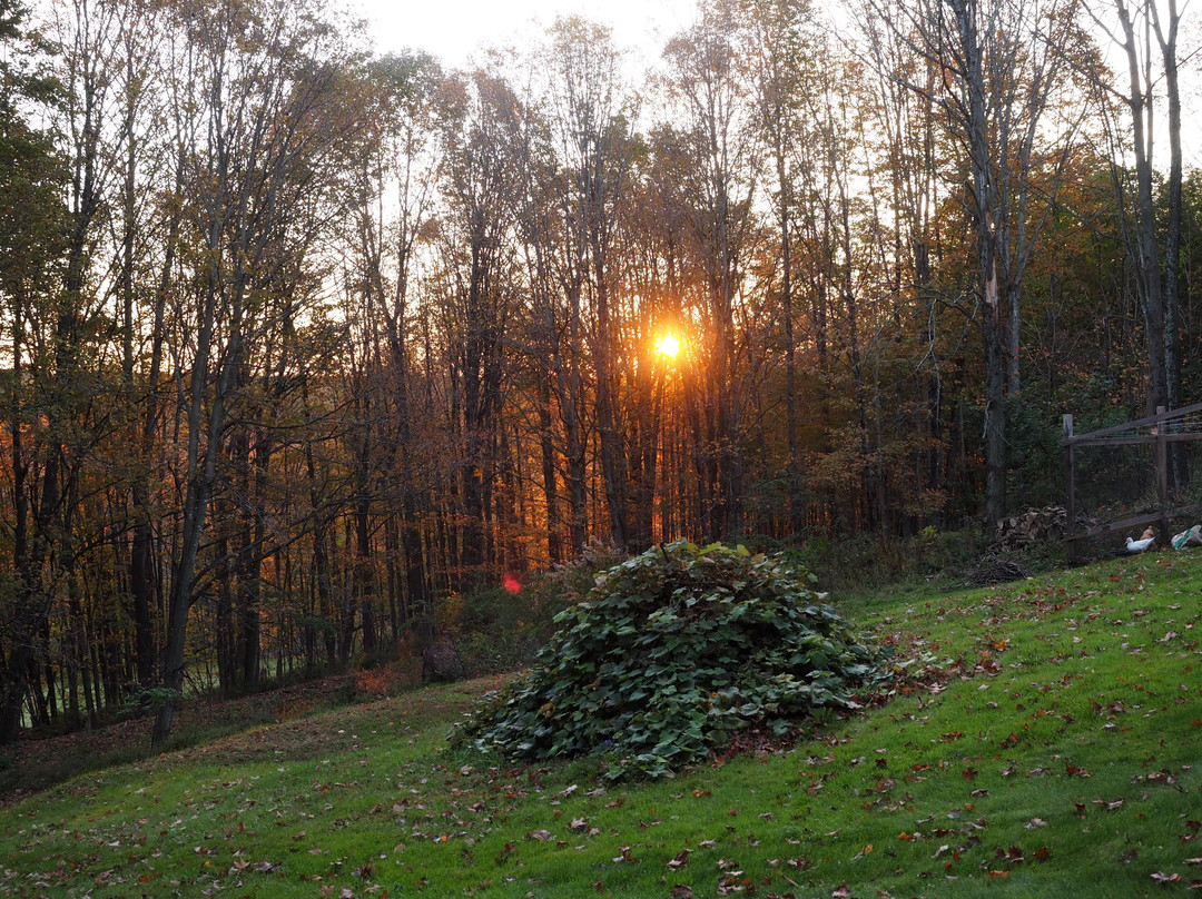 The Jeremiah Mason House Bed & Breakfast主图