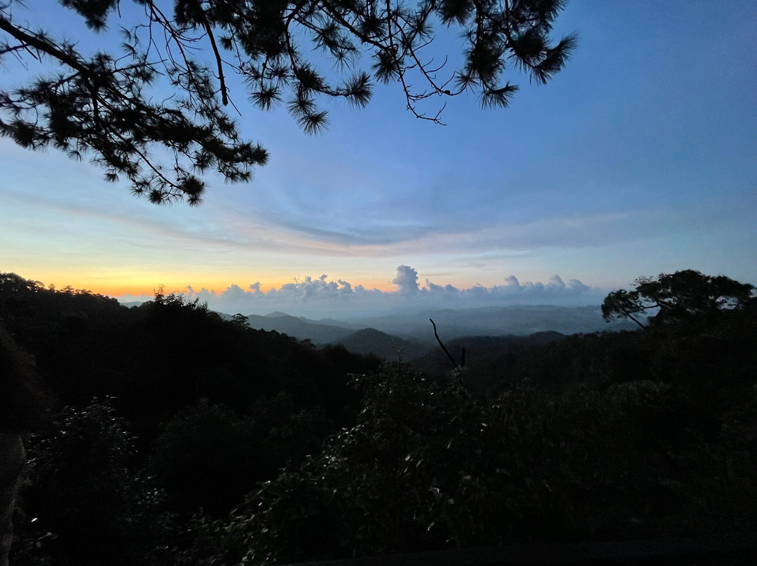 Kew Fin Viewpoint-夜安必去景点