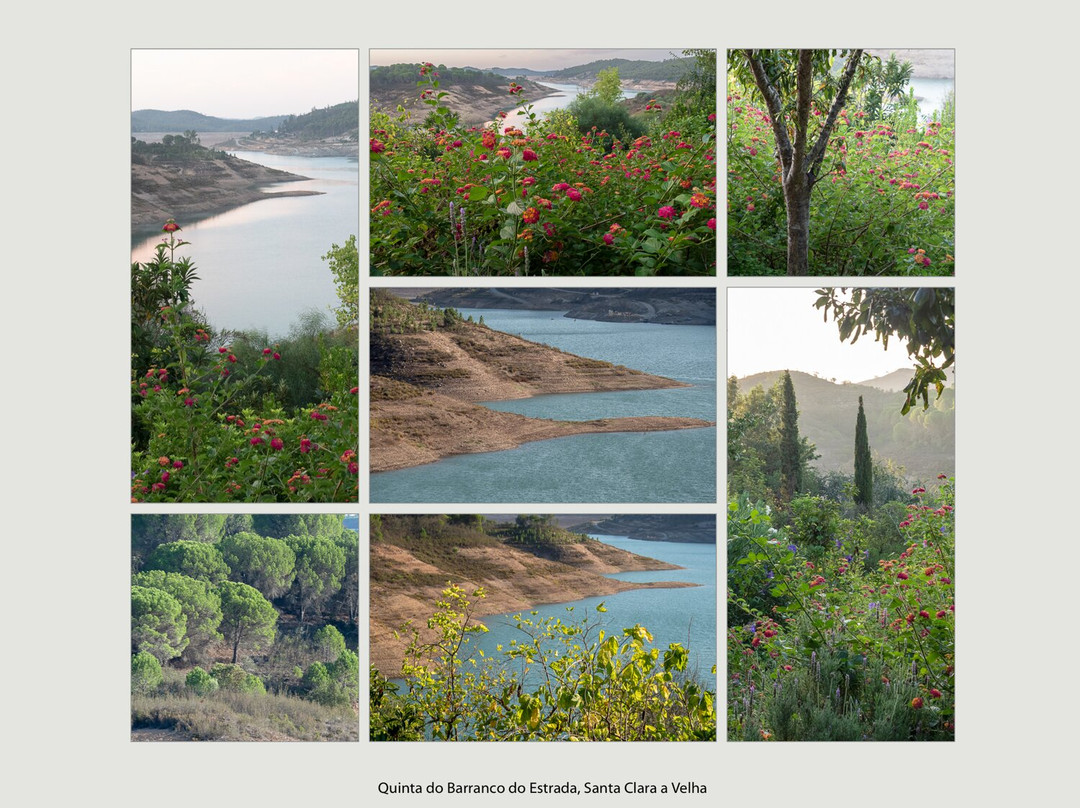 Paradise In Portugal主图