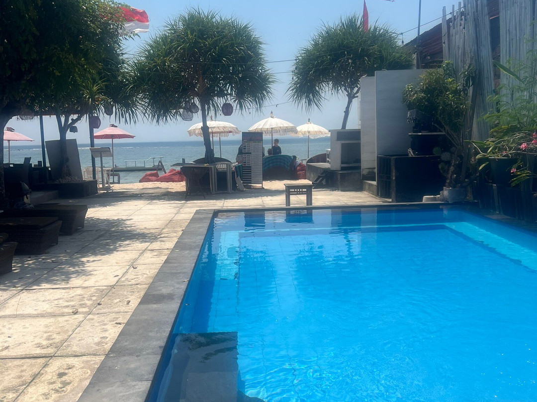 塔尔奇平房主图