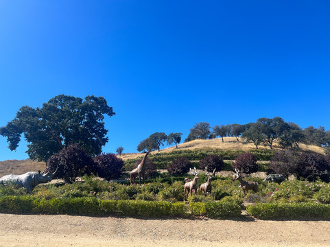 Sculpterra Winery and Sculpture Garden主图