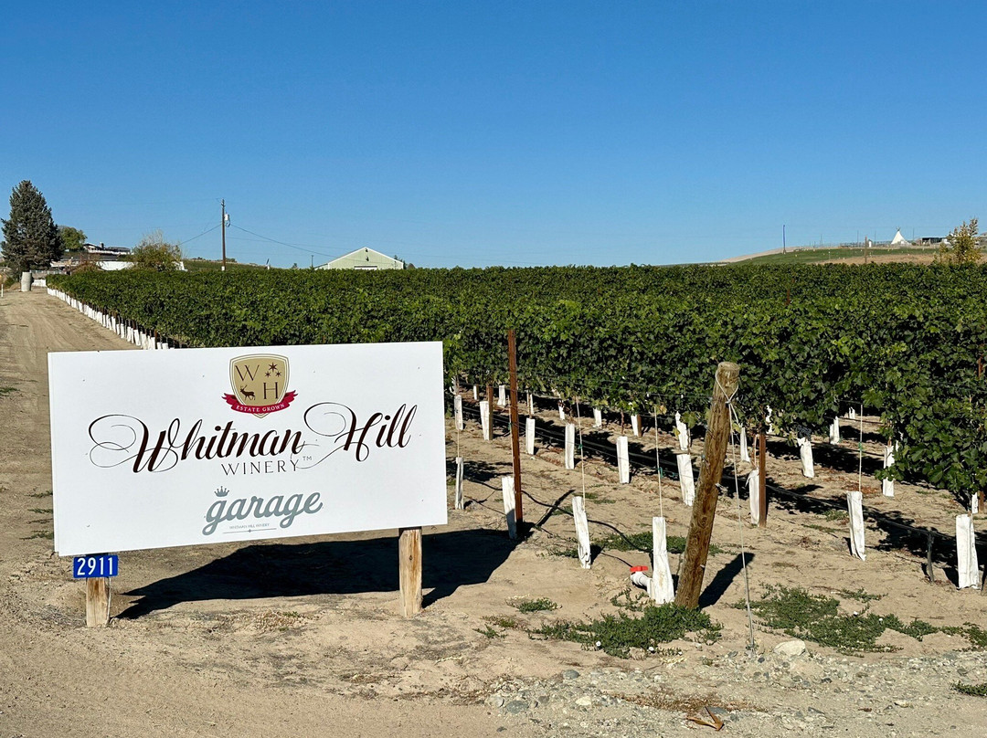 Whitman Hill Winery-Zillah必去景点