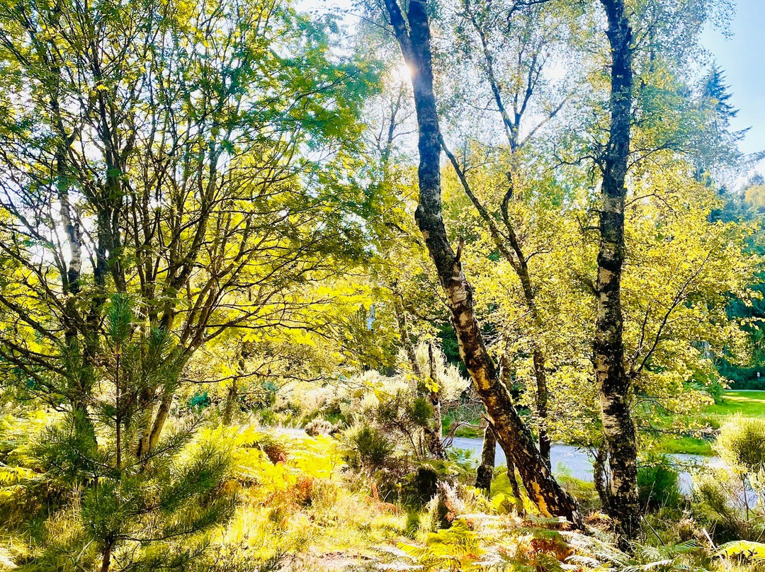 Muir of Dinnet National Nature Reserve-Dinnet必去景点