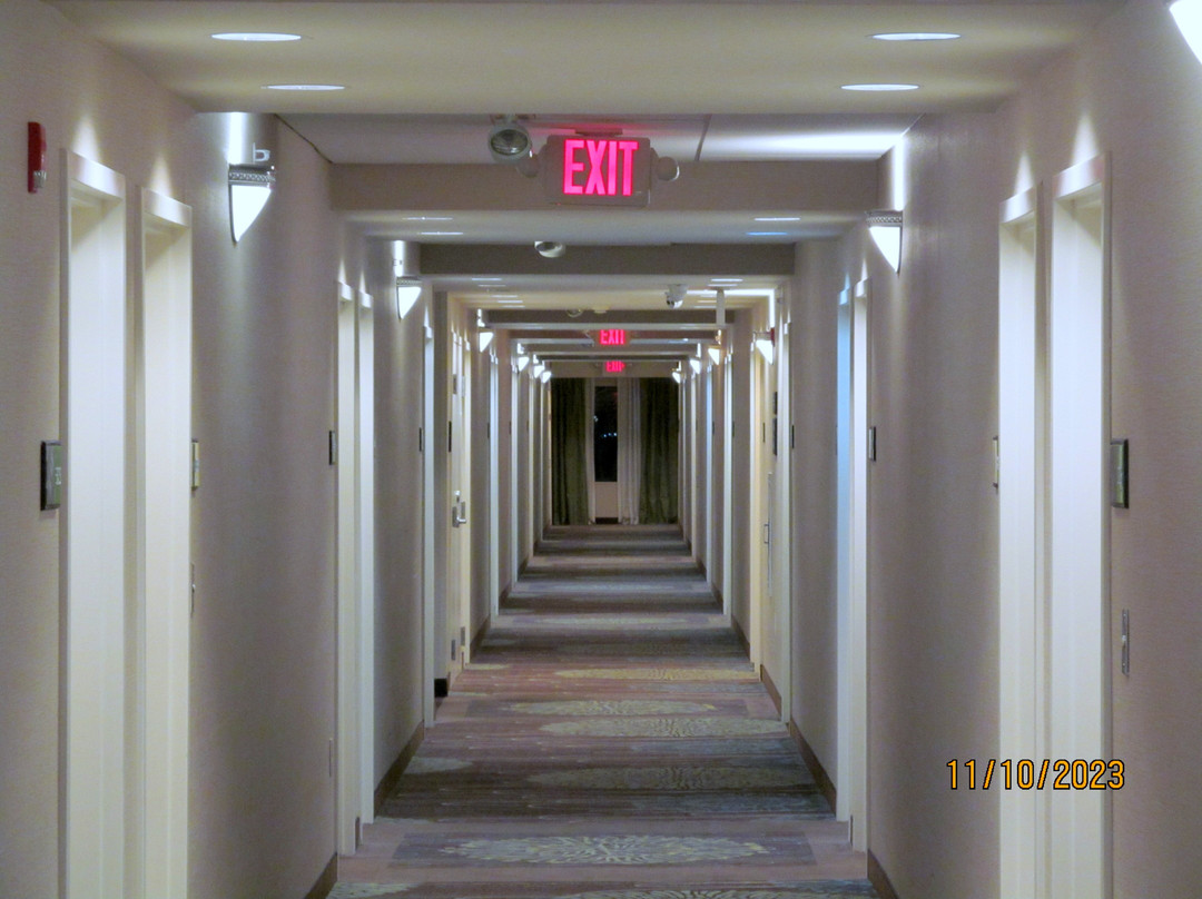 Hampton Inn Brighton主图